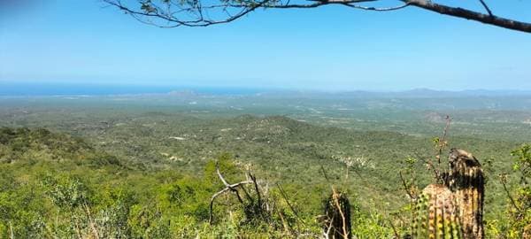 For Sale 120 hectares (Crystal Water Spring)