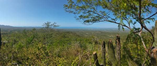 For Sale 120 hectares (Crystal Water Spring) - Image 2