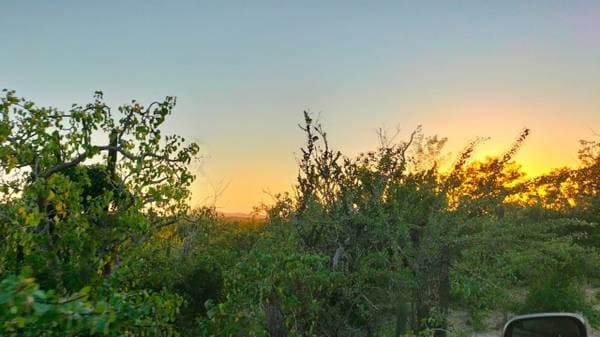 For Sale 120 hectares (Crystal Water Spring) - Image 4