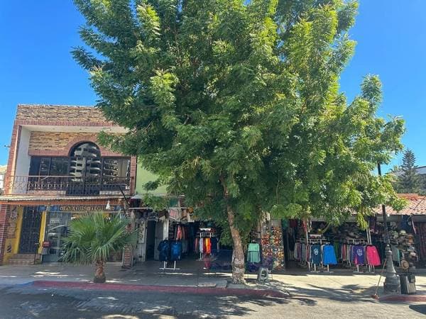 Commercial property Blvd. Paseo de la Marina Lot 4, Cabo San Lucas