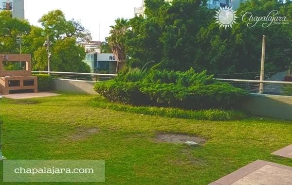 Montmartre Apartment, Chapultepec Area - Image 4