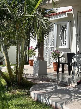 Studio for rent, yard for small dog. San Jose del Cabo