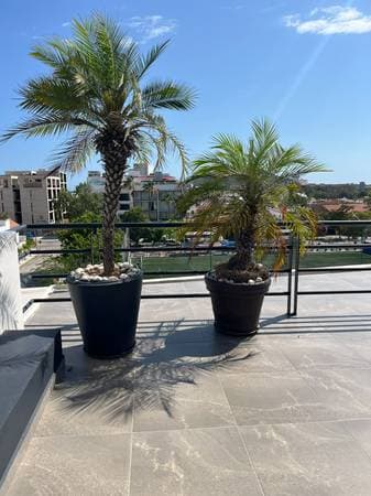 Apartment For Rent Sabalo Country - Image 2