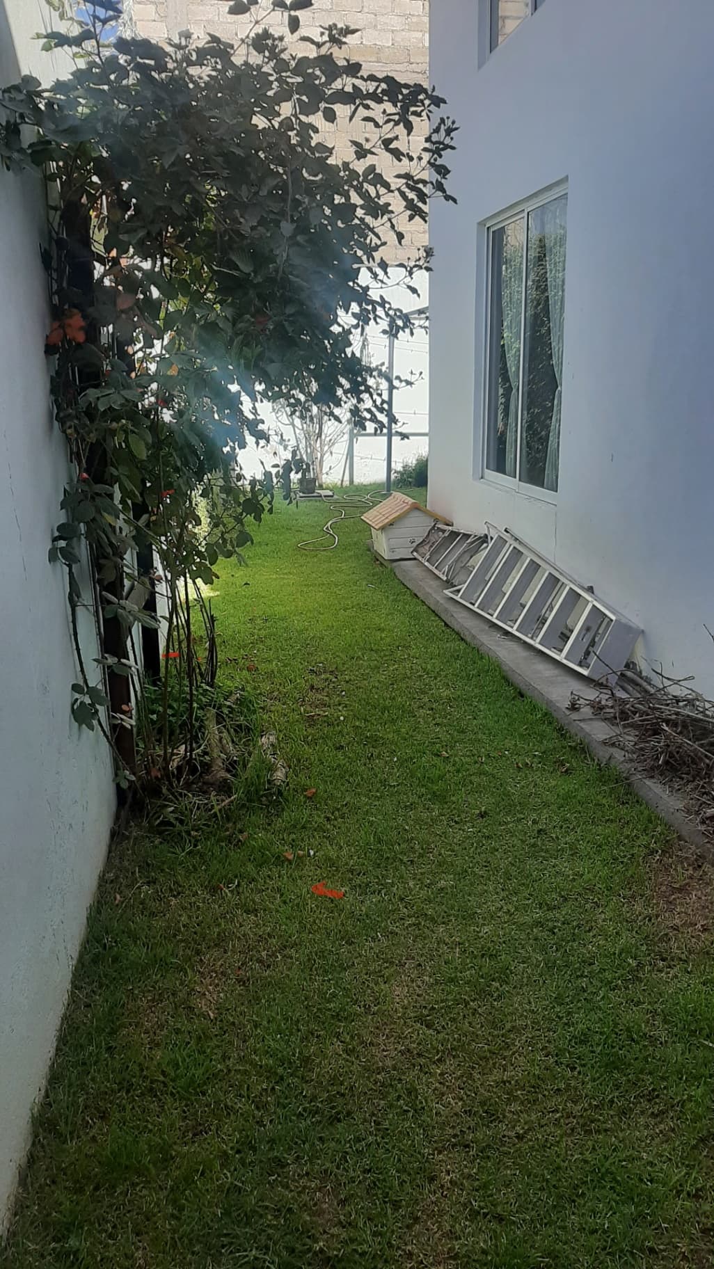 Sale of beautiful house in San Mateo Oxtotitlán, Toluca - Image 4