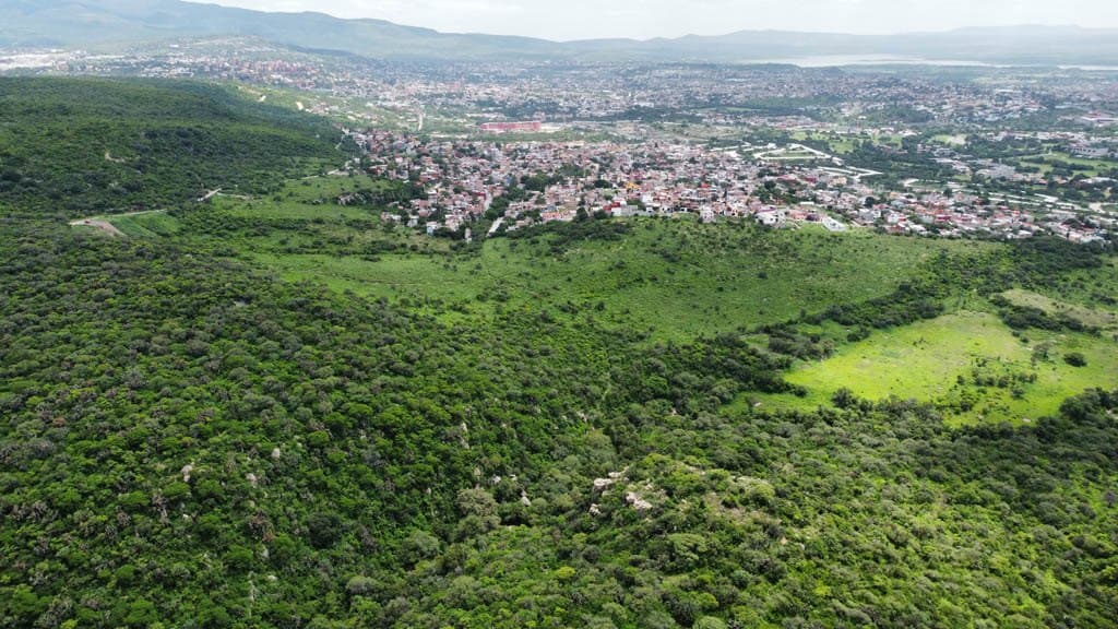 Agua Espinoza - Image 5