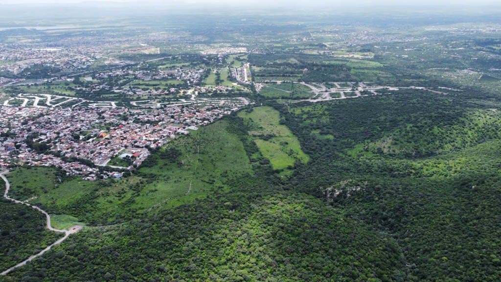 Agua Espinoza - Image 5