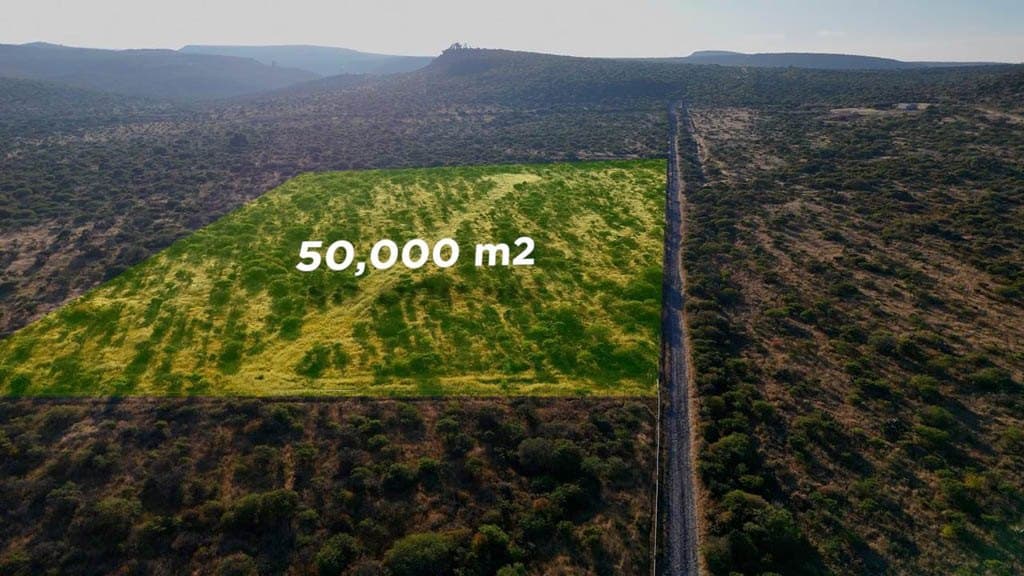 Terreno Los Rodriguez