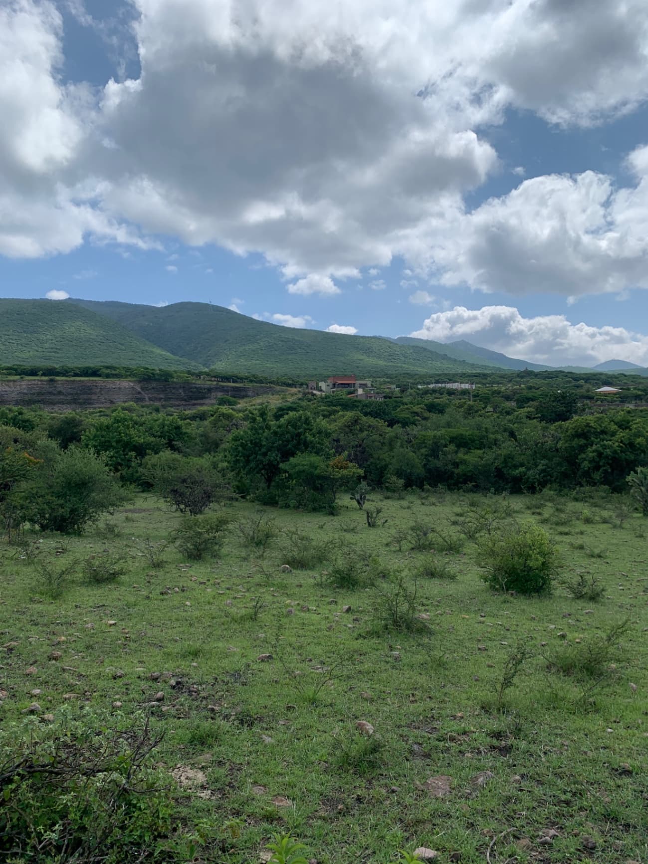 Hectáreas sobre camino a Jalpa