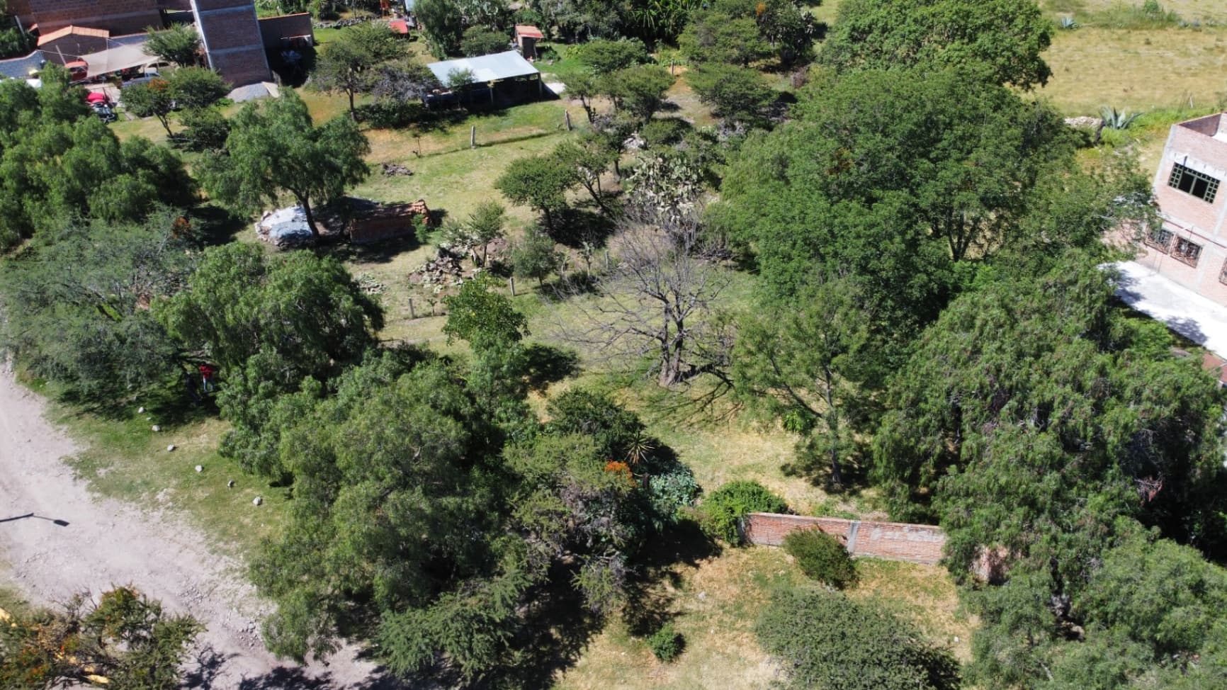 Terreno Alcocer - Image 4