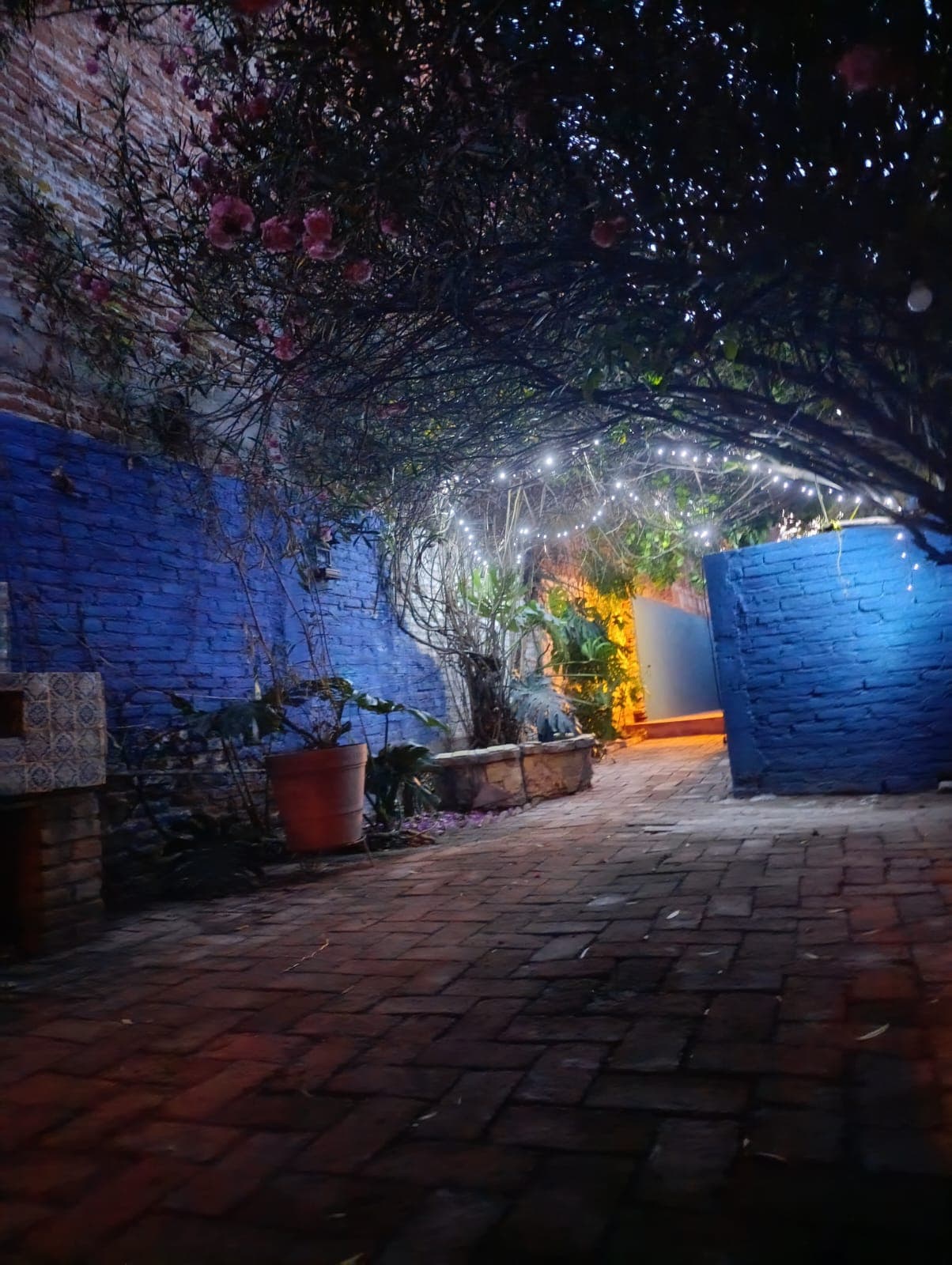 Bright Garden Home with Natural Light & Peaceful Patio in San Miguel de Allende - Image 3