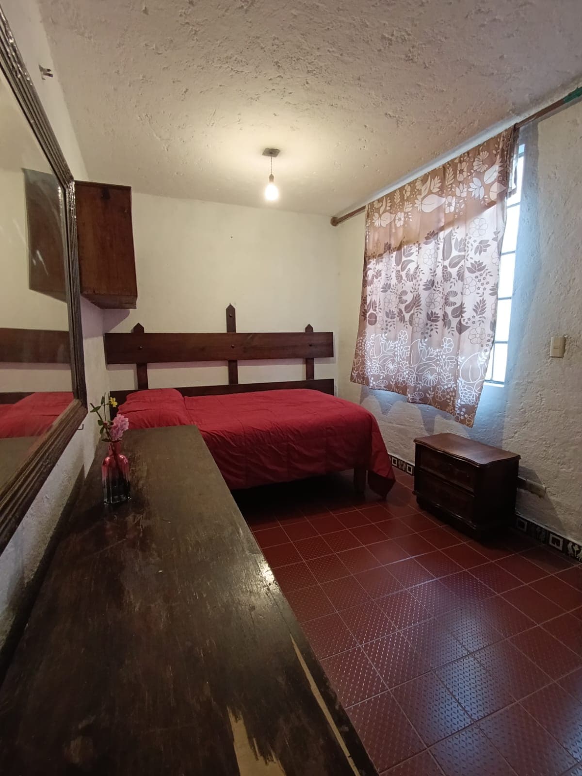 Bright Garden Home with Natural Light & Peaceful Patio in San Miguel de Allende - Image 4